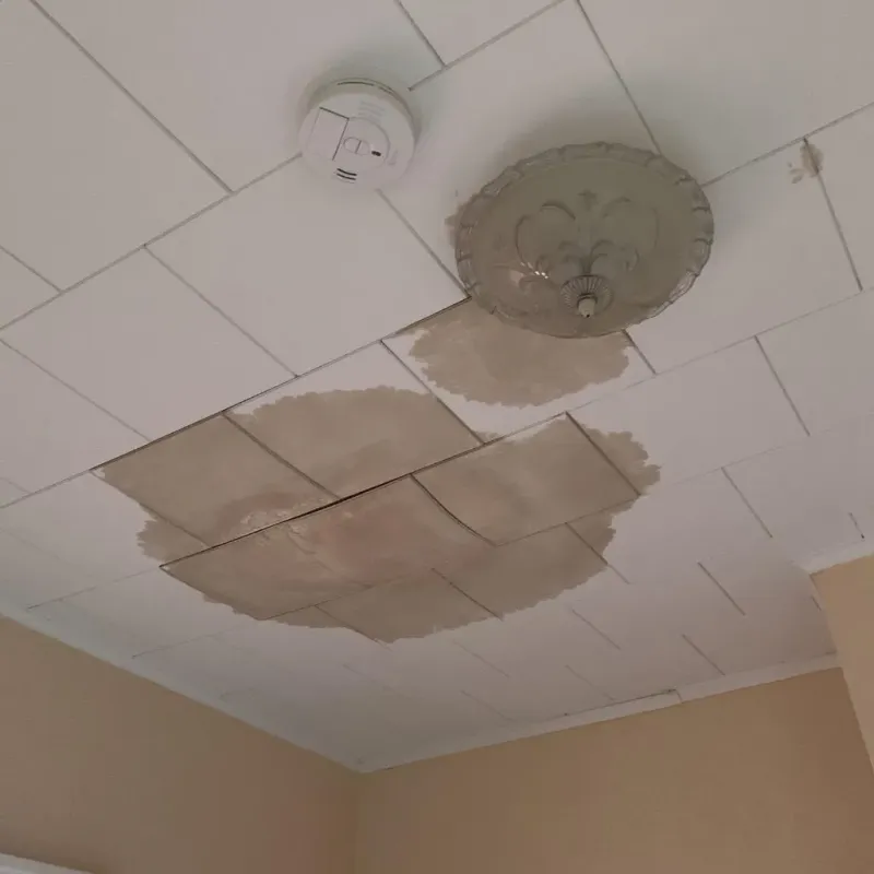 Ceiling Water Damage Repair in Hubbard Lake, MI