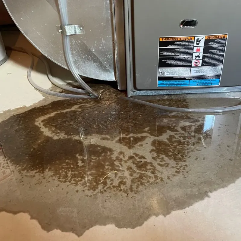 Pipe Burst and Leak Restoration in Hubbard Lake, MI