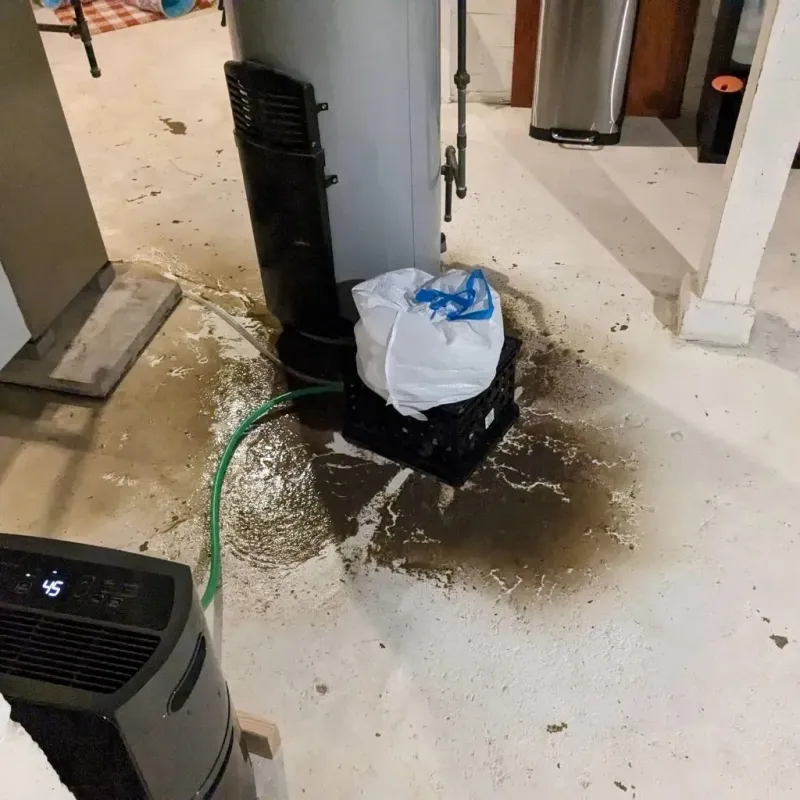Sewage Backup Cleanup Service in Hubbard Lake, MI